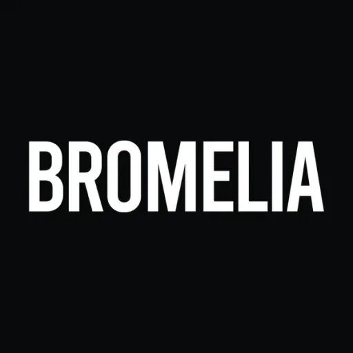 Bromelia Swimwear