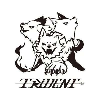 Trident Fly Fishing