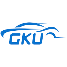 GKU Dash Cams