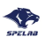Spelab Autoparts