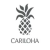 Find deals and coupons from Cariloha