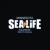 SEA LIFE Sydney Aquarium