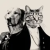 Purr & Mutt can help transform your pet into