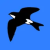 Find deals and coupons from Martinic