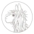 alicia adams alpaca